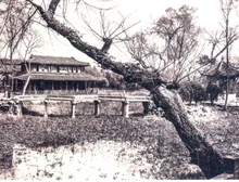 拙政园 - zhuozhengyuan old 03 lotus pond